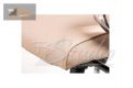 Click to enlarge image kreslo-sicilia-beige-09.jpg